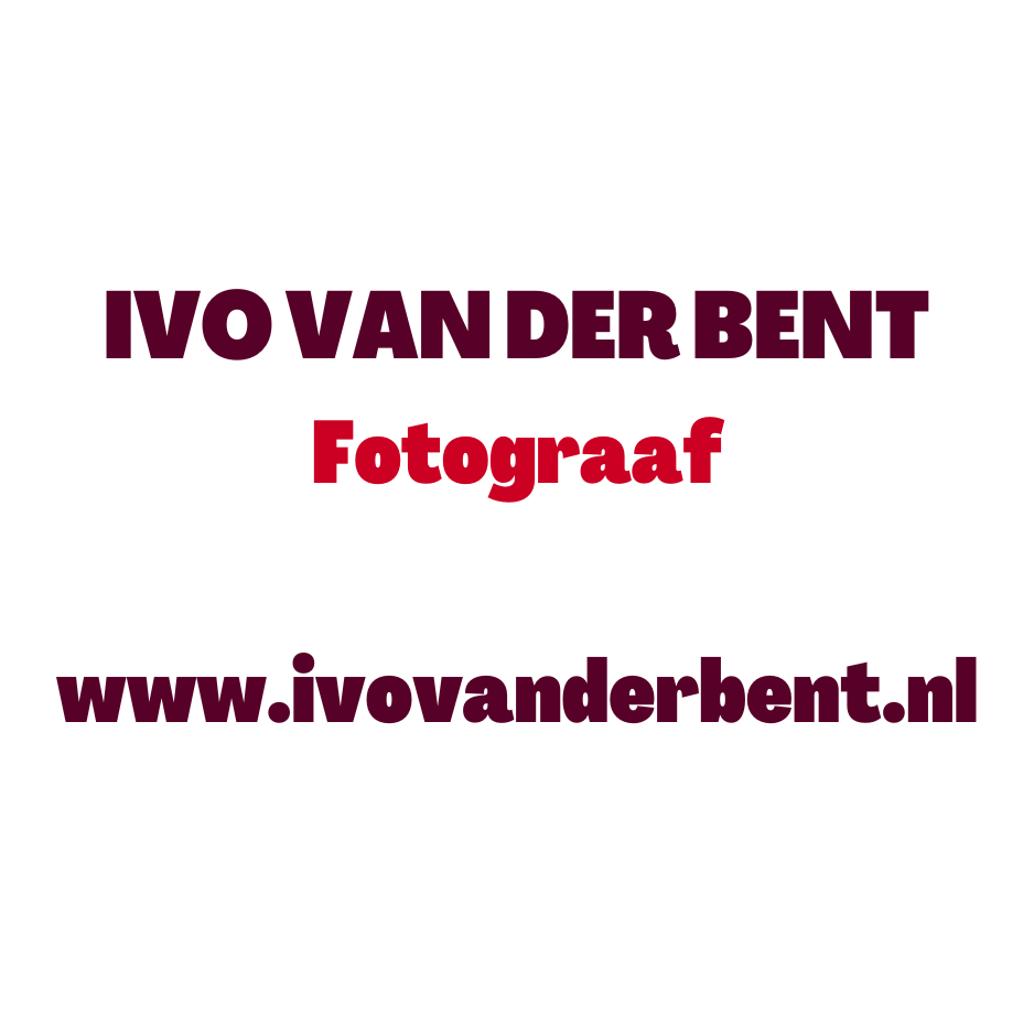 Logo Stadgenoot