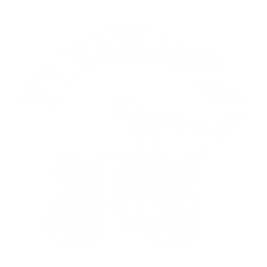 Logo Flyerman